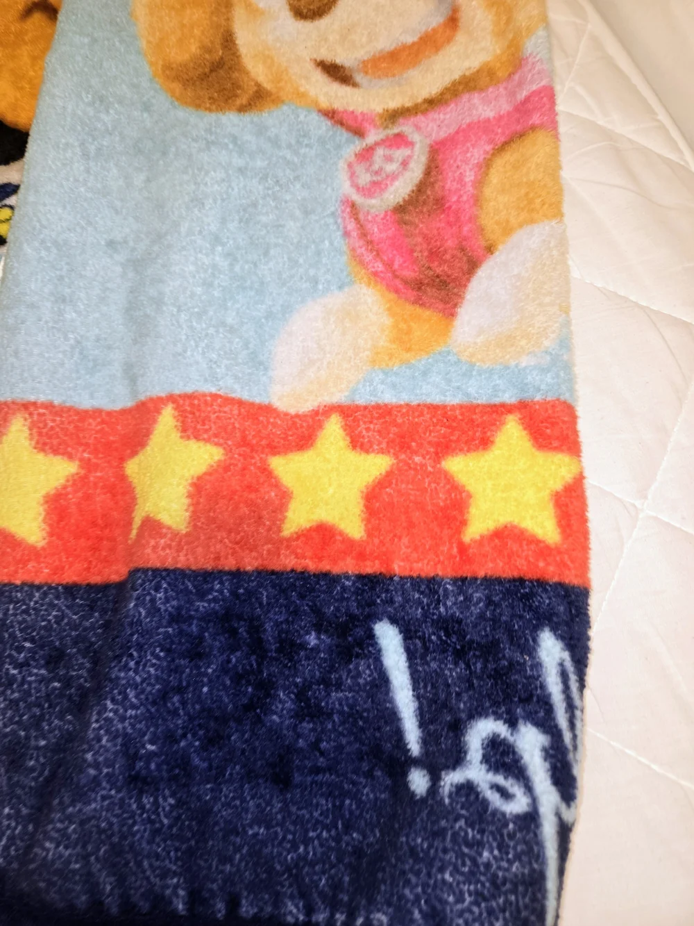 Nickleodeon PAW Patrol Kids Plush Throw Blanket - Here To Help